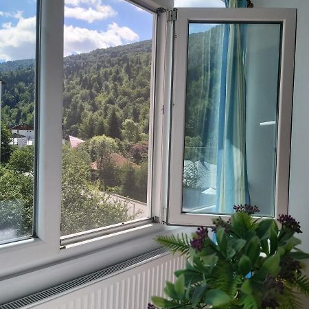 Apartment Valea Azugii 阿祖加 外观 照片