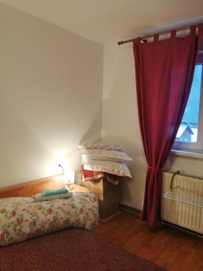 Apartment Valea Azugii 阿祖加 外观 照片