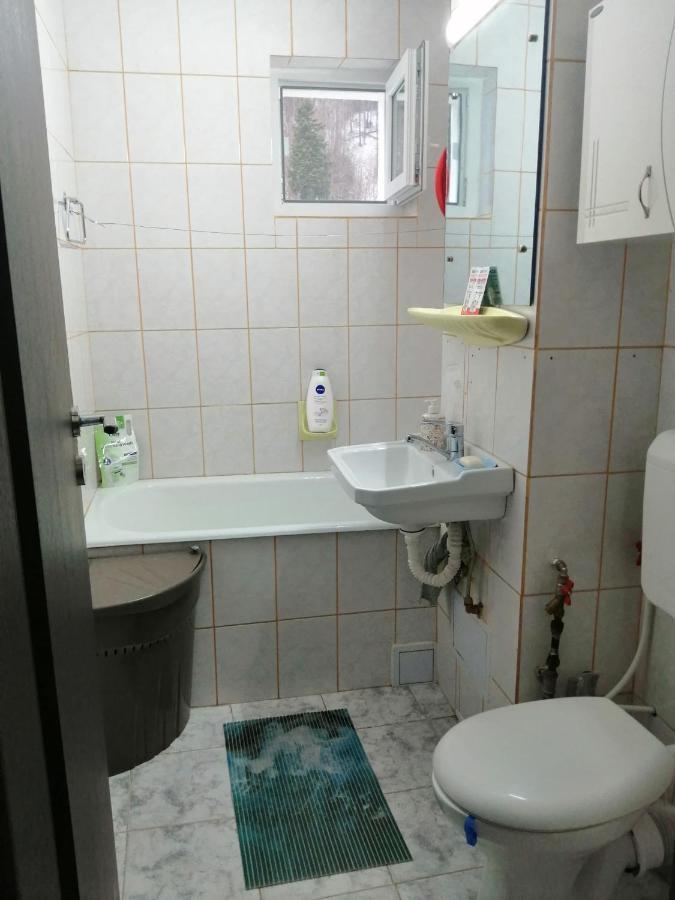 Apartment Valea Azugii 阿祖加 外观 照片