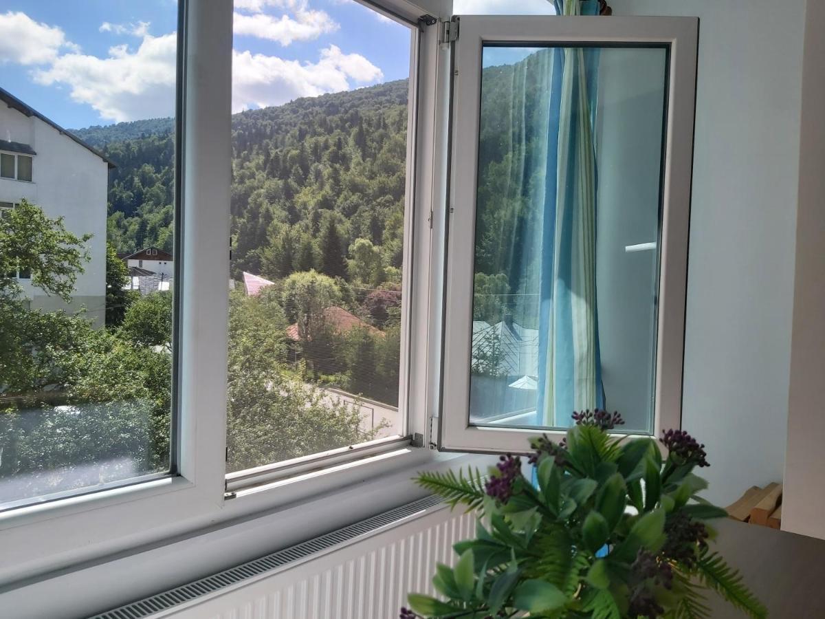 Apartment Valea Azugii 阿祖加 外观 照片