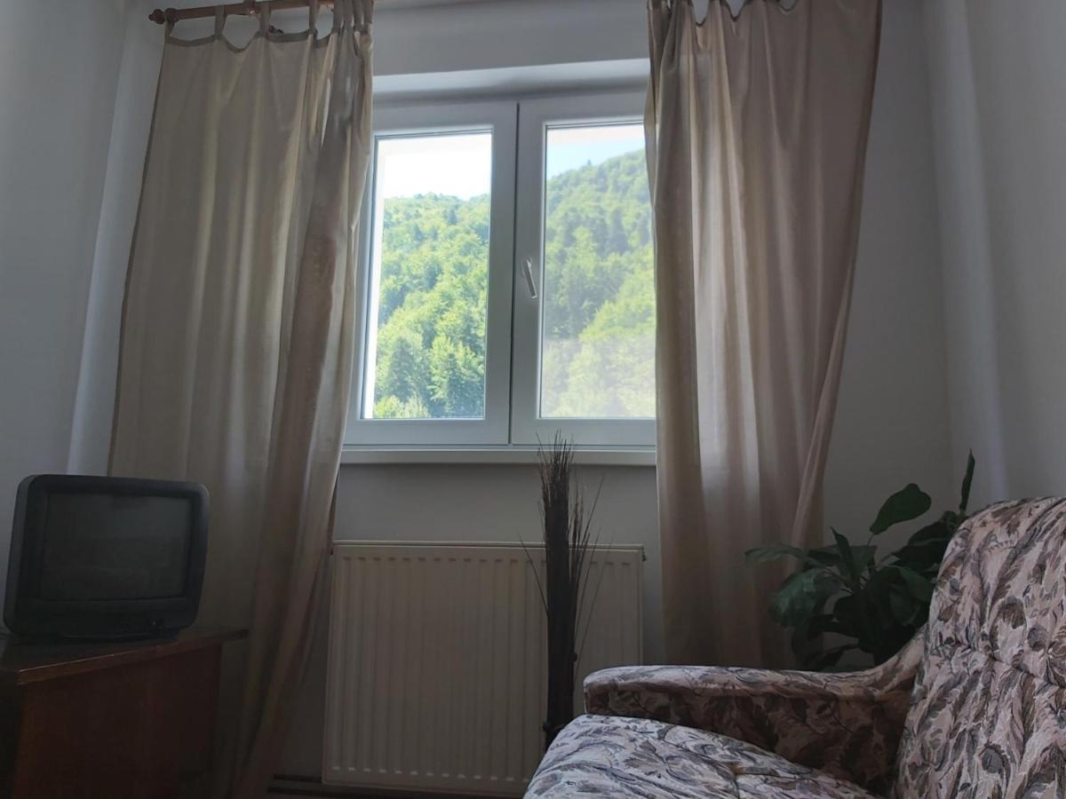 Apartment Valea Azugii 阿祖加 外观 照片