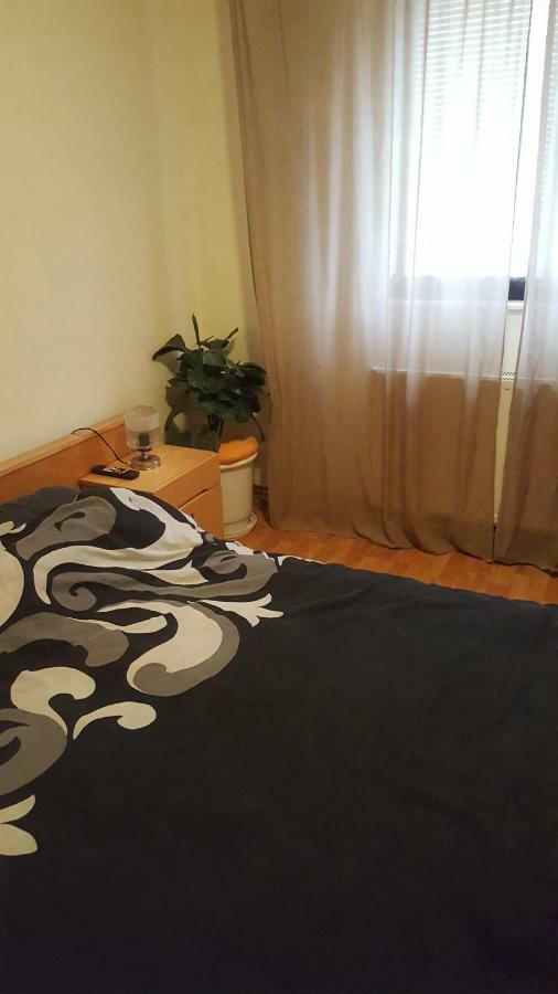 Apartment Valea Azugii 阿祖加 外观 照片