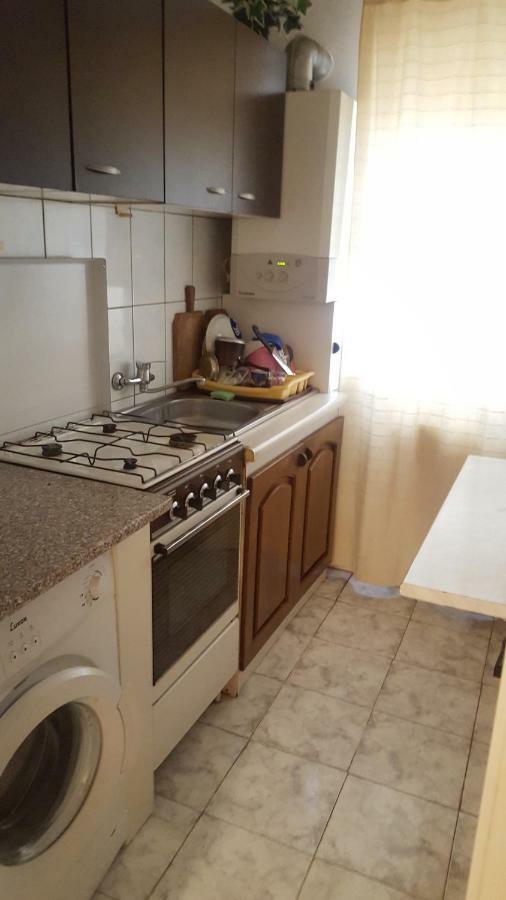 Apartment Valea Azugii 阿祖加 外观 照片